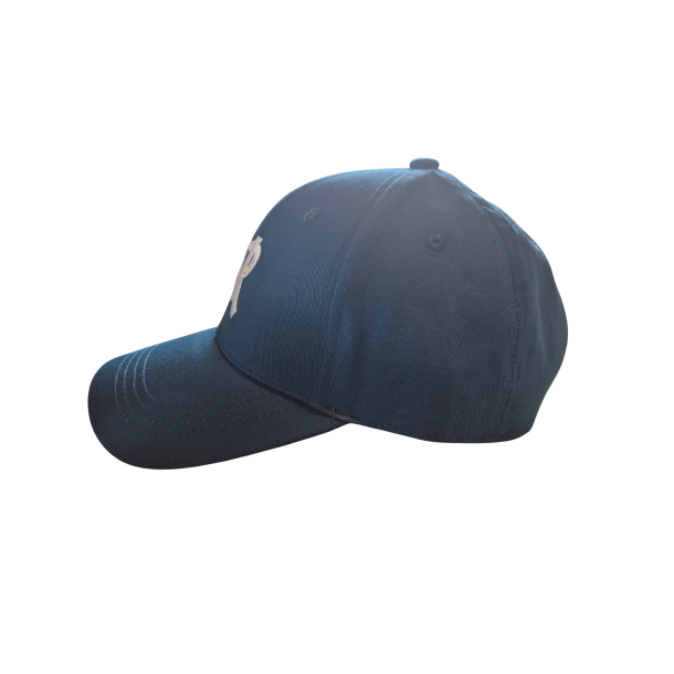 FAR Baseball Cap - Bl�